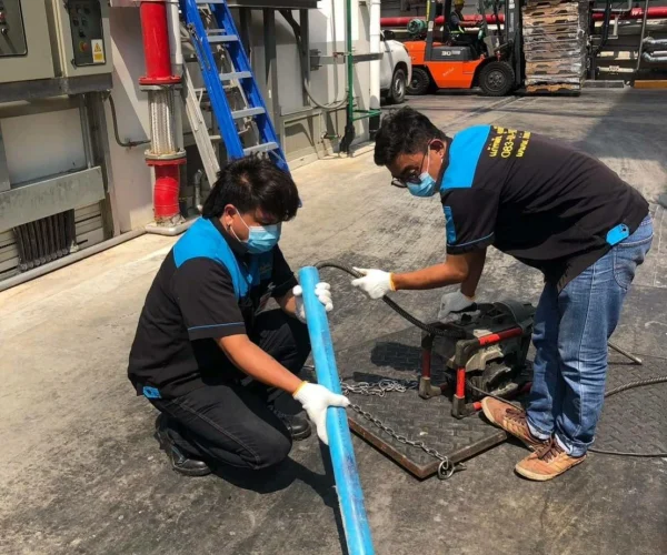 งูเหล็ก คืออะไร?